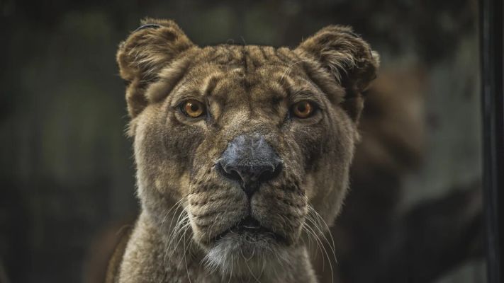 фотографии 111